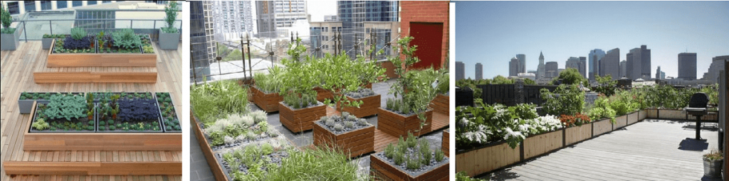 Planter Box in roof garden